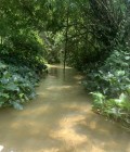 Rencontre Femme Thaïlande à ราไวย : Kaunyamas.  tanglaog, 52 ans